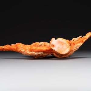 A Chinese red coral group of Shoulao with two boys holding a peach, inscribed 'Shou Bi Nan Shan 壽比南山', 19/20th C. — photo 6