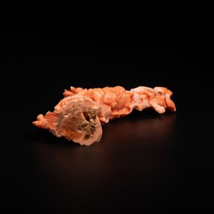 A Chinese red coral sculpture of Shoulao, 19/20th C. — photo 6