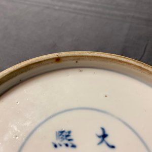 A Chinese rose-verte 'dragon and carps' bowl, Kangxi mark, 19th C. — 照片 17