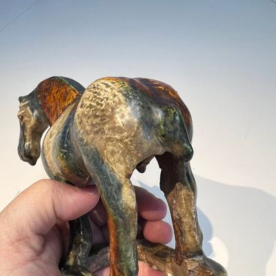 A Chinese sancai-glazed horse, probably Tang — photo 9