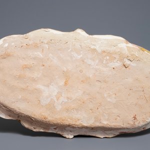 A Chinese sancai-glazed lotus-shaped dish, Liao — 照片 2