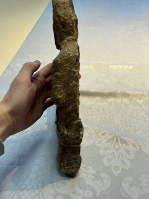 A Chinese sandstone 'Bai Ma Shi Zu 白馬舐足' carving, Northern Wei — 照片 11