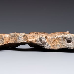 A Chinese sandstone 'Bai Ma Shi Zu 白馬舐足' carving, Northern Wei — 照片 6