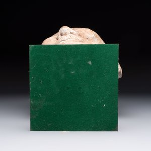 A Chinese sandstone head of a Luohan, Ming — 照片 7