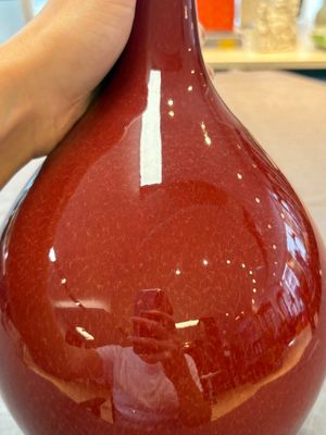 A Chinese sang-de-boeuf bottle vase, 19th C. — 照片 6