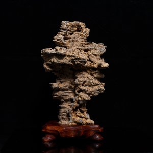 A Chinese scholar's rock on wooden stand, probably Qing — photo 2