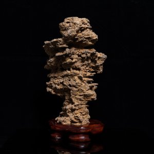 A Chinese scholar's rock on wooden stand, probably Qing — photo 4