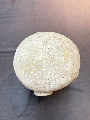 A Chinese stucco head of a Luohan, Qing — 照片 6