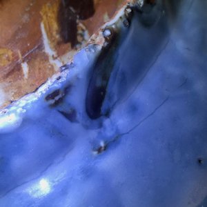 A Chinese Swatow celadon slip-decorated blue-ground dish, Ming — 照片 14