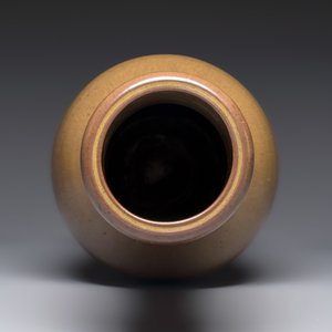 A Chinese teadust-glazed vase — photo 5