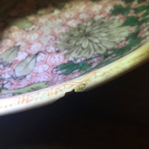 A Chinese wucai dish with flowers, Transitional to early Kangxi, 17th C. — foto 7