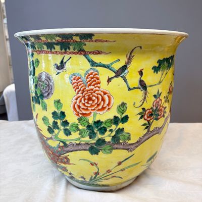 A Chinese famille verte yellow-ground 'Birds among Flowering Branches' jardinière — 照片 5