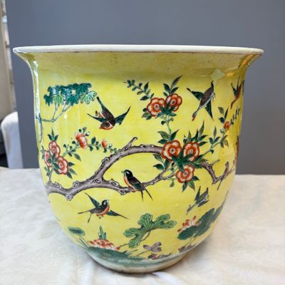 A Chinese famille verte yellow-ground 'Birds among Flowering Branches' jardinière — 照片 7