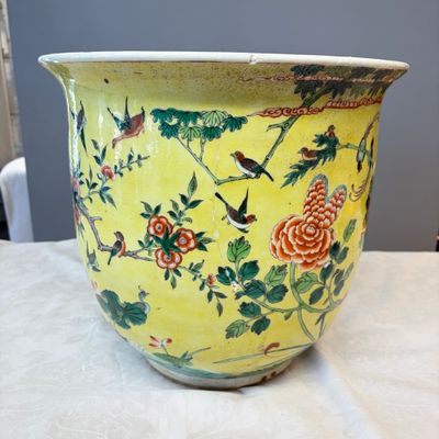 A Chinese famille verte yellow-ground 'Birds among Flowering Branches' jardinière — 照片 9