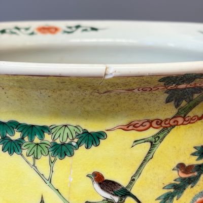 A Chinese famille verte yellow-ground 'Birds among Flowering Branches' jardinière — 照片 10