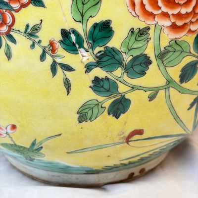 A Chinese famille verte yellow-ground 'Birds among Flowering Branches' jardinière — 照片 12