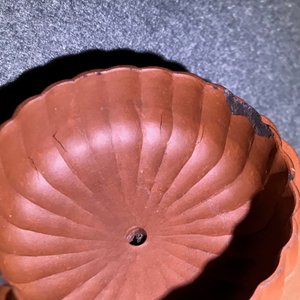 A Chinese Yixing stoneware 'chrysanthemum' teapot and cover, Kangxi — 照片 14