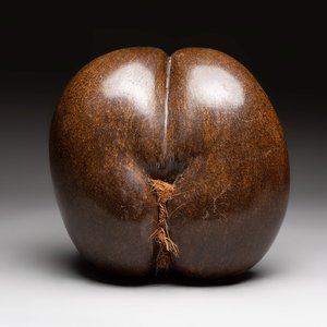 A coco de mer or sea coconut (Lodoicea maldivica), polished, Seychelles — photo 1