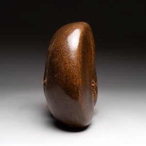 A coco de mer or sea coconut (Lodoicea maldivica), polished, Seychelles — photo 2