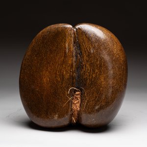 A coco de mer or sea coconut (Lodoicea maldivica), polished, Seychelles — photo 3