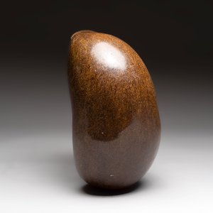 A coco de mer or sea coconut (Lodoicea maldivica), polished, Seychelles — photo 4