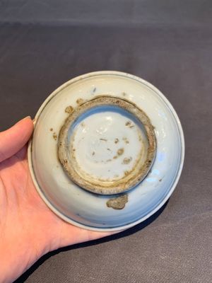 A collection of 11 Chinese blue and white wares, Ming — photo 21