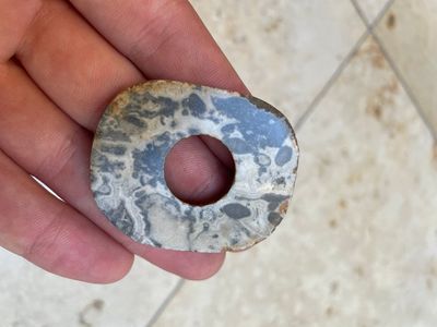 A collection of 16 Chinese neolithic jade 'bi' discs, probably Shang — photo 9