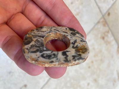 A collection of 16 Chinese neolithic jade 'bi' discs, probably Shang — photo 10