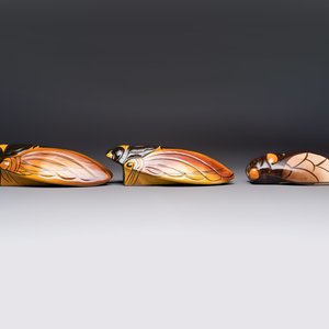 A collection of 19 French ‘Cicada’ wall pocket vases, 20th C. — photo 15