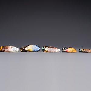 A collection of 19 French ‘Cicada’ wall pocket vases, 20th C. — photo 33