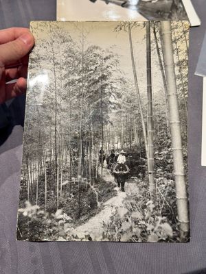 A collection of 19 photographs from the Vietnam War, taken by various press photographers, 3rd quarter 20th C. — photo 26