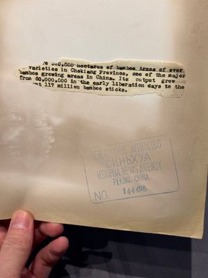 A collection of 19 photographs from the Vietnam War, taken by various press photographers, 3rd quarter 20th C. — photo 27