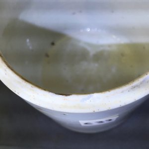 A collection of 19th century Chinese porcelain, including brush pots, figures and a poem plate — foto 11