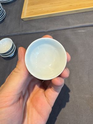 A collection of 32 pieces Chinese blue and white cups, saucers and covers with floral design, Qianlong — photo 40