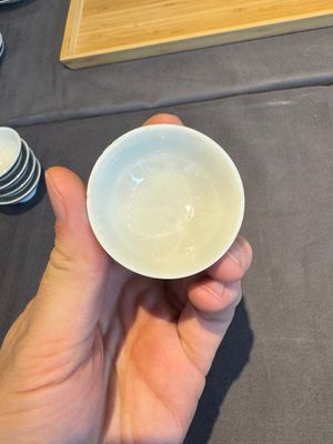 A collection of 32 pieces Chinese blue and white cups, saucers and covers with floral design, Qianlong — photo 42