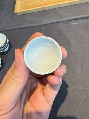 A collection of 32 pieces Chinese blue and white cups, saucers and covers with floral design, Qianlong — photo 50