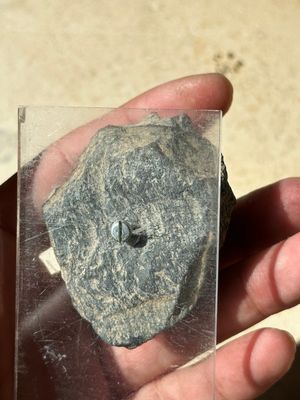 A collection of 9 Gandhara grey schist and stucco fragments of Buddha and divinities, 1/2nd C. — photo 8