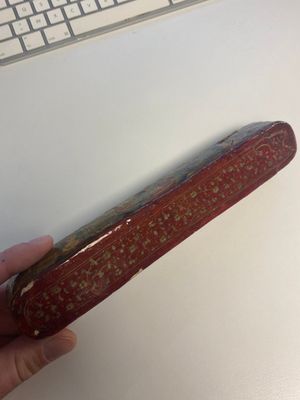 A collection of eight lacquered papier-maché pen boxes or qalamdans, Qajar, Persia, 19th C. — photo 45