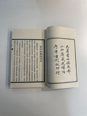 A collection of 'Essentials of the Daoist Canon 道藏輯要' books, China, 20th C. — 照片 11