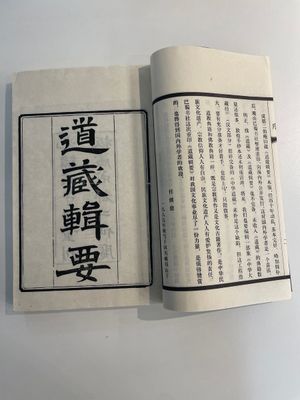 A collection of 'Essentials of the Daoist Canon 道藏輯要' books, China, 20th C. — 照片 12