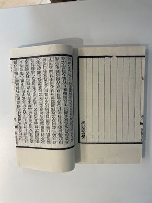 A collection of 'Essentials of the Daoist Canon 道藏輯要' books, China, 20th C. — 照片 15