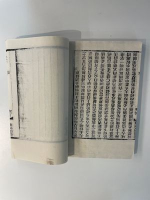 A collection of 'Essentials of the Daoist Canon 道藏輯要' books, China, 20th C. — 照片 16