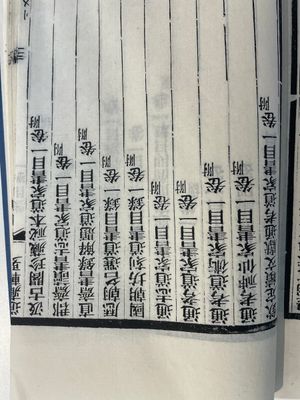 A collection of 'Essentials of the Daoist Canon 道藏輯要' books, China, 20th C. — 照片 20