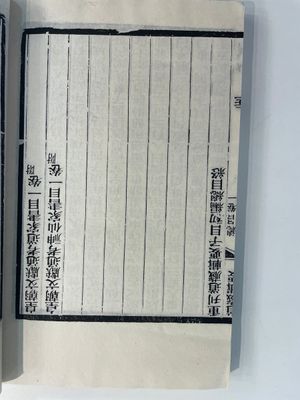 A collection of 'Essentials of the Daoist Canon 道藏輯要' books, China, 20th C. — 照片 21