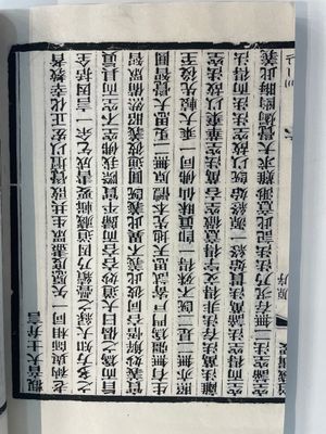 A collection of 'Essentials of the Daoist Canon 道藏輯要' books, China, 20th C. — 照片 23
