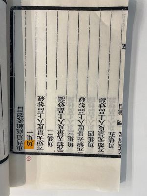 A collection of 'Essentials of the Daoist Canon 道藏輯要' books, China, 20th C. — 照片 24
