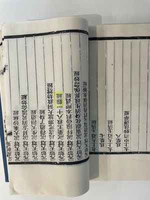 A collection of 'Essentials of the Daoist Canon 道藏輯要' books, China, 20th C. — 照片 27