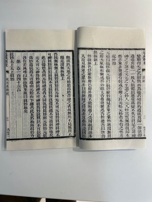 A collection of 'Essentials of the Daoist Canon 道藏輯要' books, China, 20th C. — 照片 31