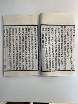 A collection of 'Essentials of the Daoist Canon 道藏輯要' books, China, 20th C. — 照片 32