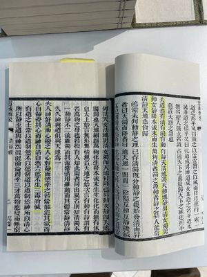 A collection of 'Essentials of the Daoist Canon 道藏輯要' books, China, 20th C. — 照片 36